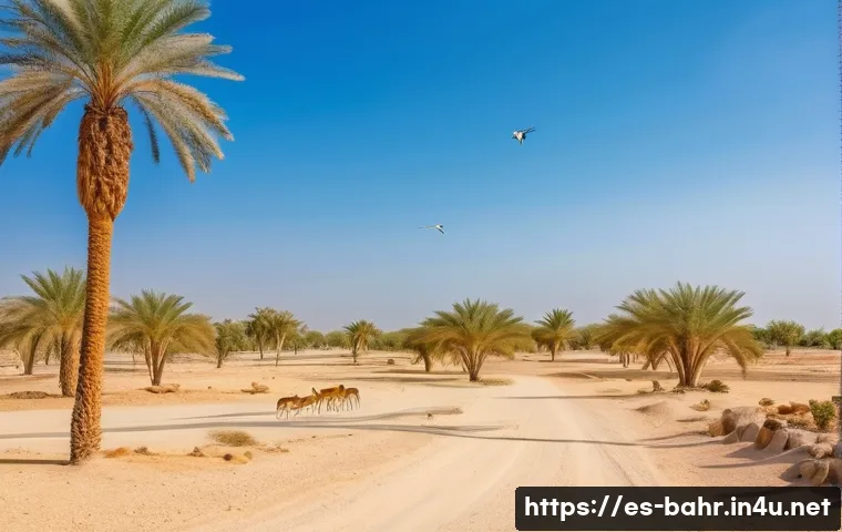 바레인의 세계문화유산 관련 이미지 2